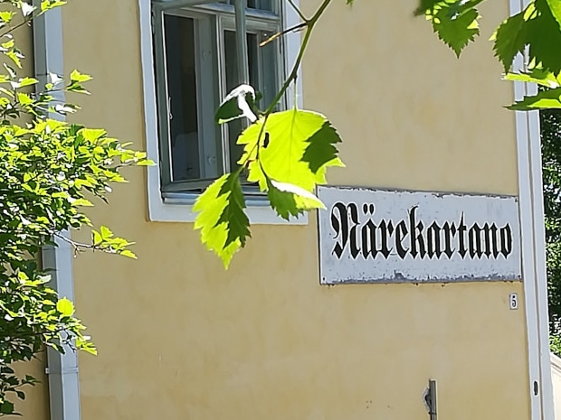 Read more about the article Näre Ry